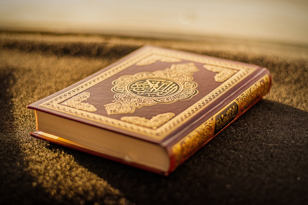 مركز الضياء